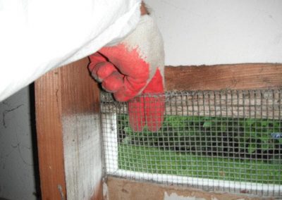 rodent proofing vent entry point
